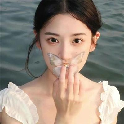 老虎